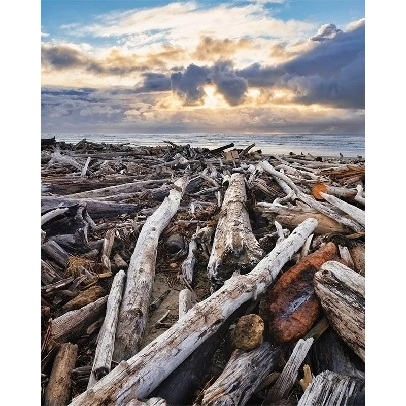 Driftwood Sunset