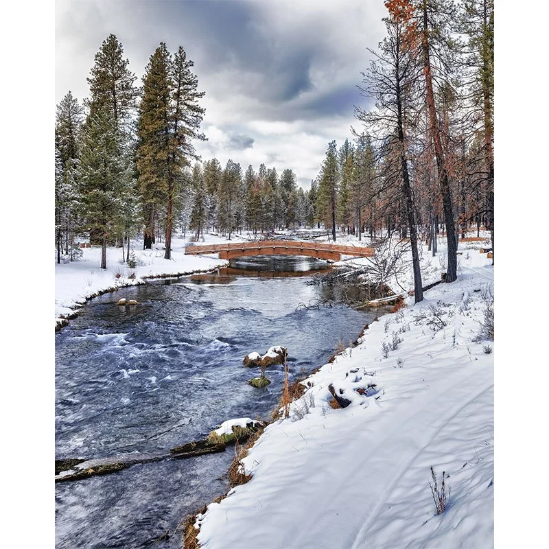 Bridge Over a Frigid River