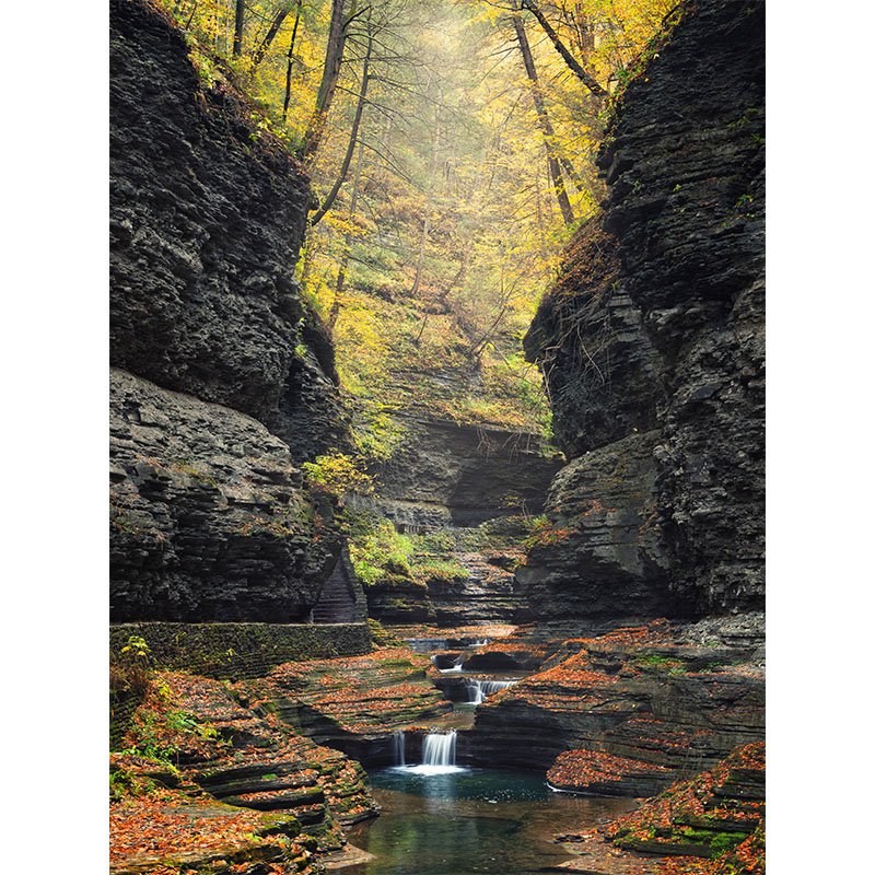 Watkins Glen FR small.jpg