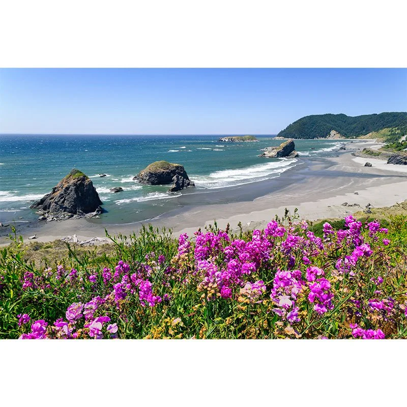 Sunny southern Oregon coast small.jpg