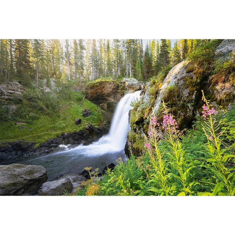 Moose Falls New Final small.jpg