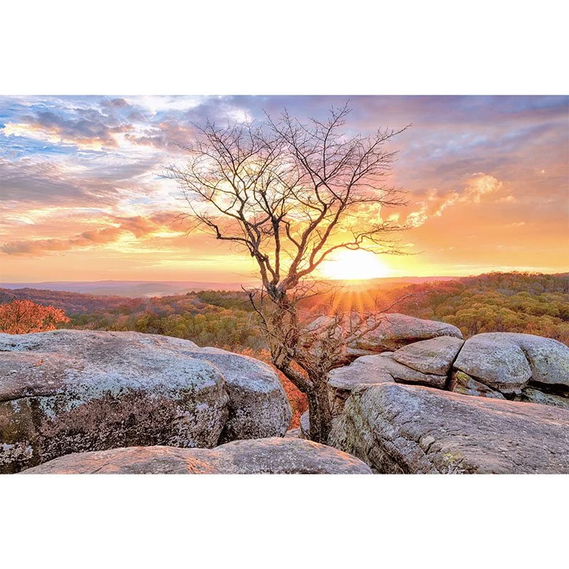 Garden of the Gods Sunset