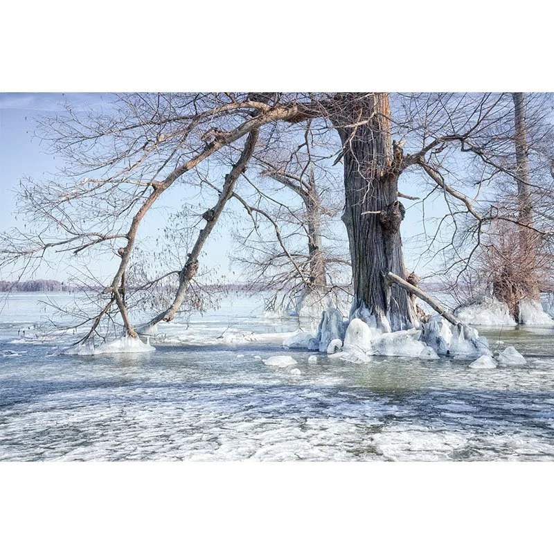 Reelfoot Lake Winter New Final small.jpg