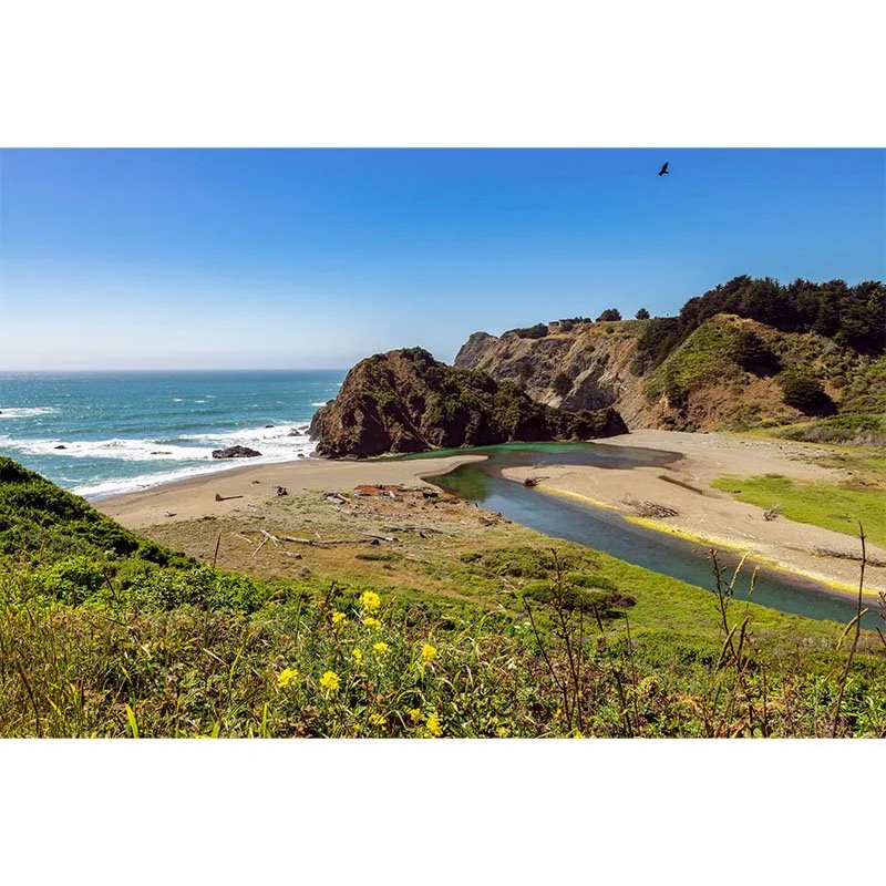 Sunny California Cove small.jpg