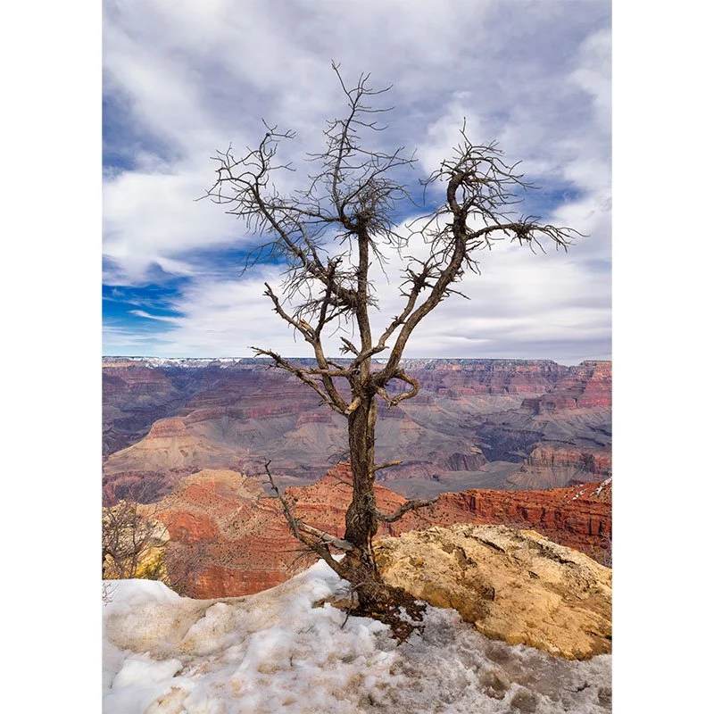 Life On The Edge small.jpg