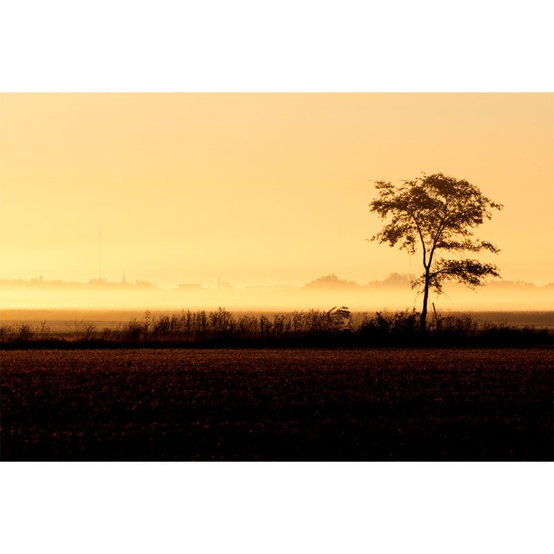 Red Morning Field in Indiana small.jpg
