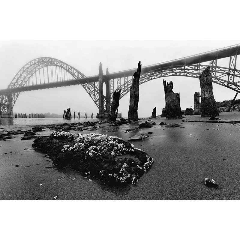 Yaquina Bay Bridge BW FR copy small.jpg
