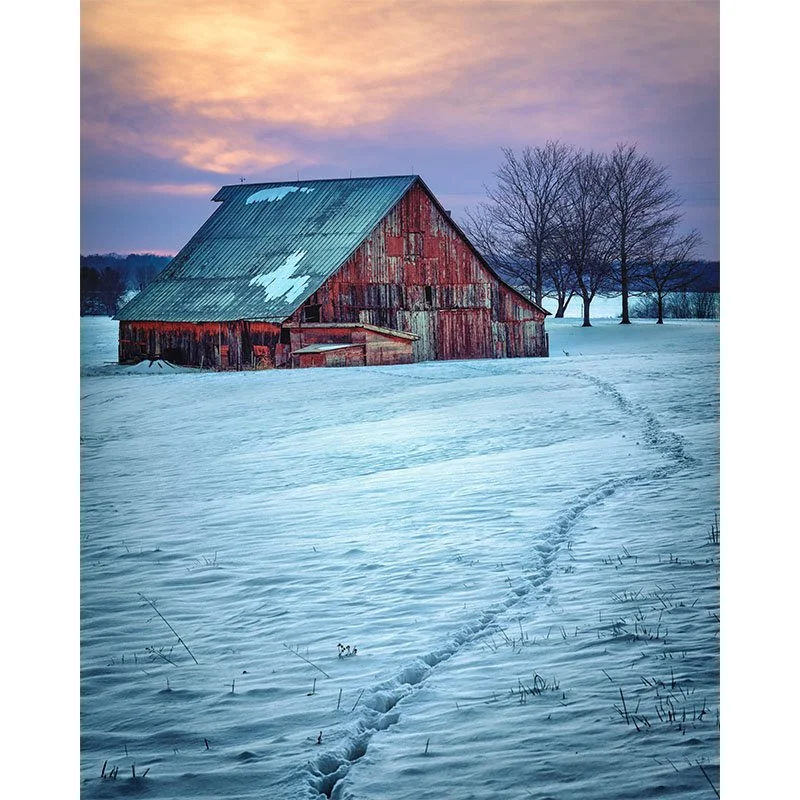 Winter in Carlisle FR small.jpg