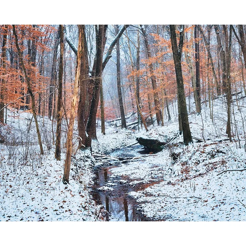 Oubache Winter Creek 11x14 NEW FINAL small.jpg