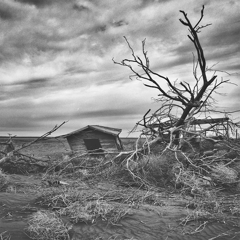 West Texas Shed BW FR copy final small.jpg