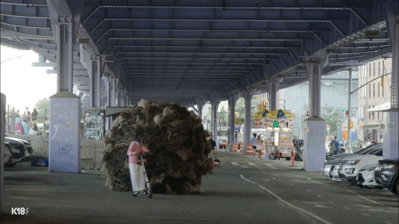 The Tumblehair