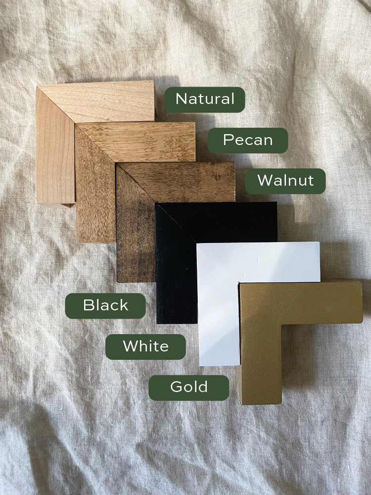 Frame Color Options.png (Copy)