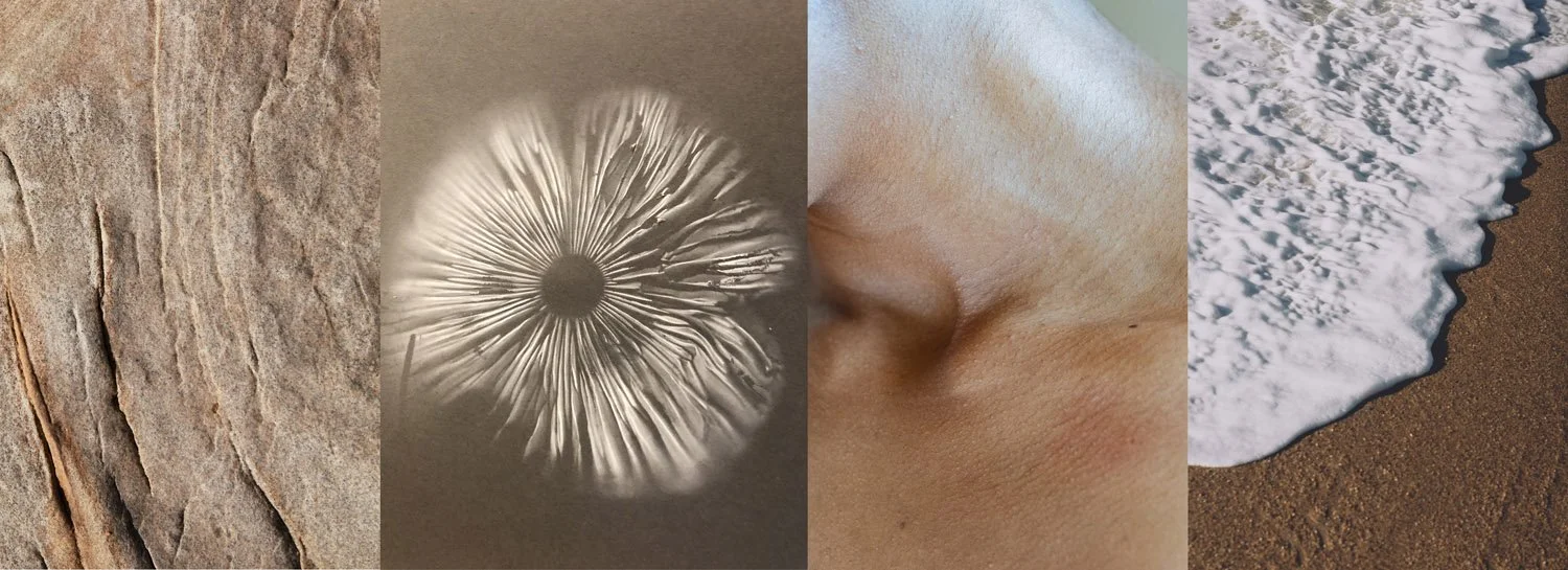 four paneled image of nature and the human body