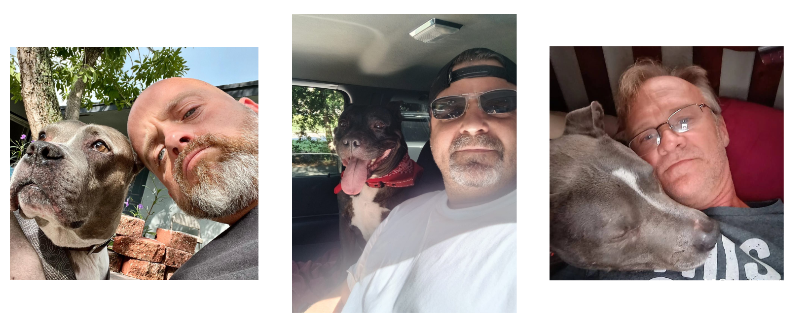 More About Our Mission — Blue Waters Dog Rescue