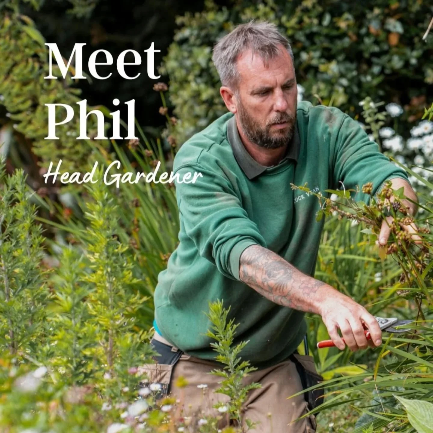 Meet Phil... Head Gardener of Budock Vean
We recently caught up with Phil for a closer look amongst the leaves.
Why not head over to @budockveanhotel and check out the blog where Phil shares his seasonal highlights, behind the scenes secrets, and w