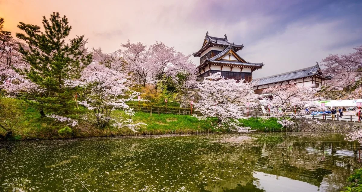 Spring, the Liver, and the Art of Slow Unfolding
