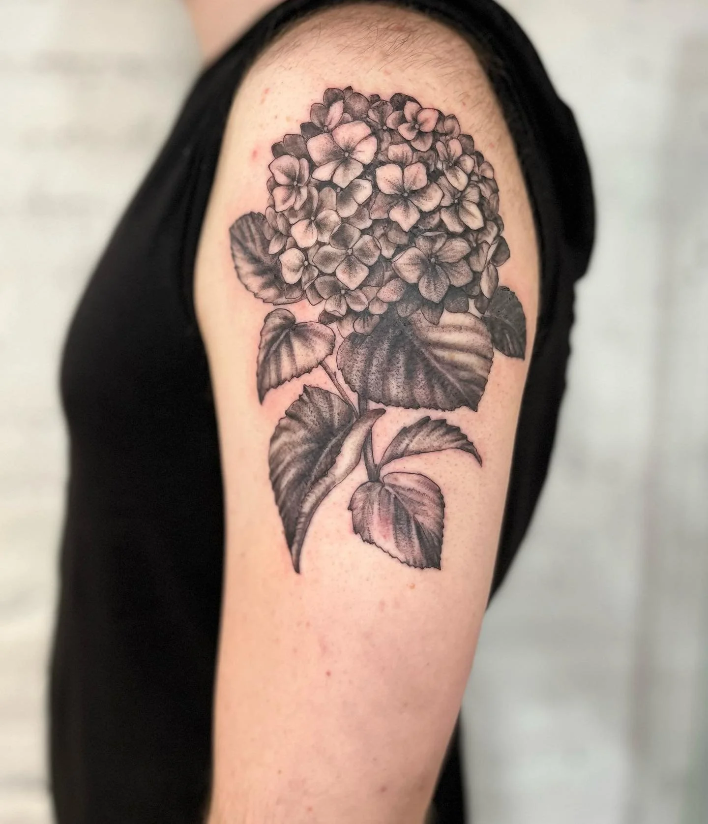 Spring Booking is open on my site&hellip;link in bio&hellip;perfect time for some flower tattoos 🤍

Finding some favorite projects buried in my photos that didn&rsquo;t get posted. Here&rsquo;s a hydrangea for John that was so much fun from a while 