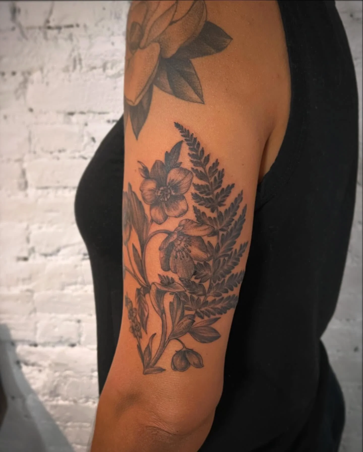 I&rsquo;m like 4yrs behind on posting to my feed but have a bunch of favorites I didn&rsquo;t put up here in a timely manner, more to come&hellip;here&rsquo;s one on horticulturalist Jenny #ferns #hellebores and little forget-me-nots 

 #flowersforev