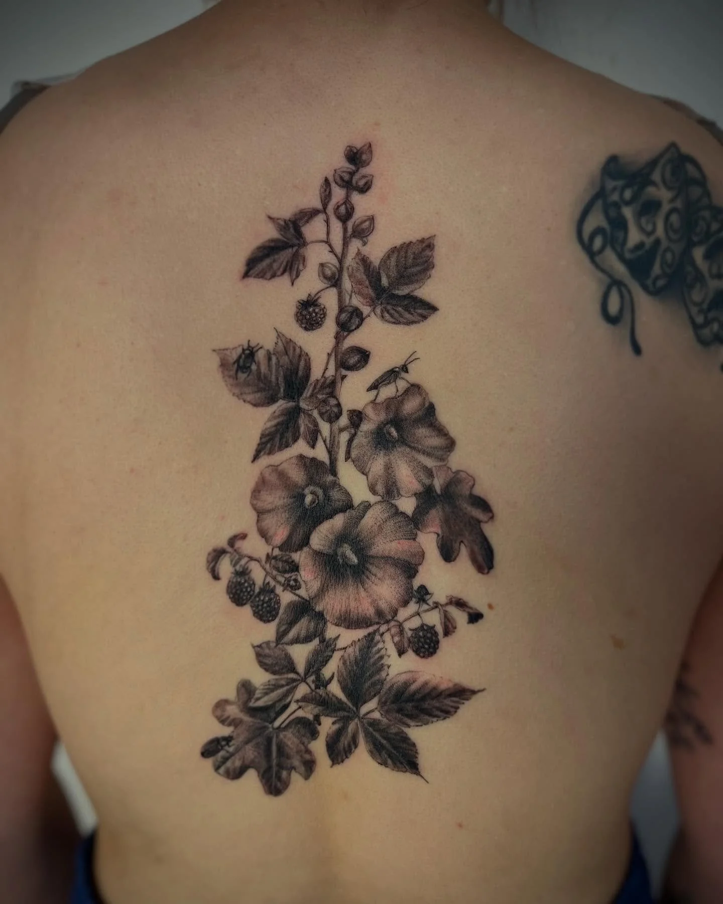 Hollhocks, raspberries and some crawley friends added on to one of my favorite folks! Thanks @melissaarnaud your trust means so much to me. 💚

#botanicaltattoo #floraltattoo #hollyhocktattoo #flowertattoo #finelinetattoo #raspberrytattoo #btattooing