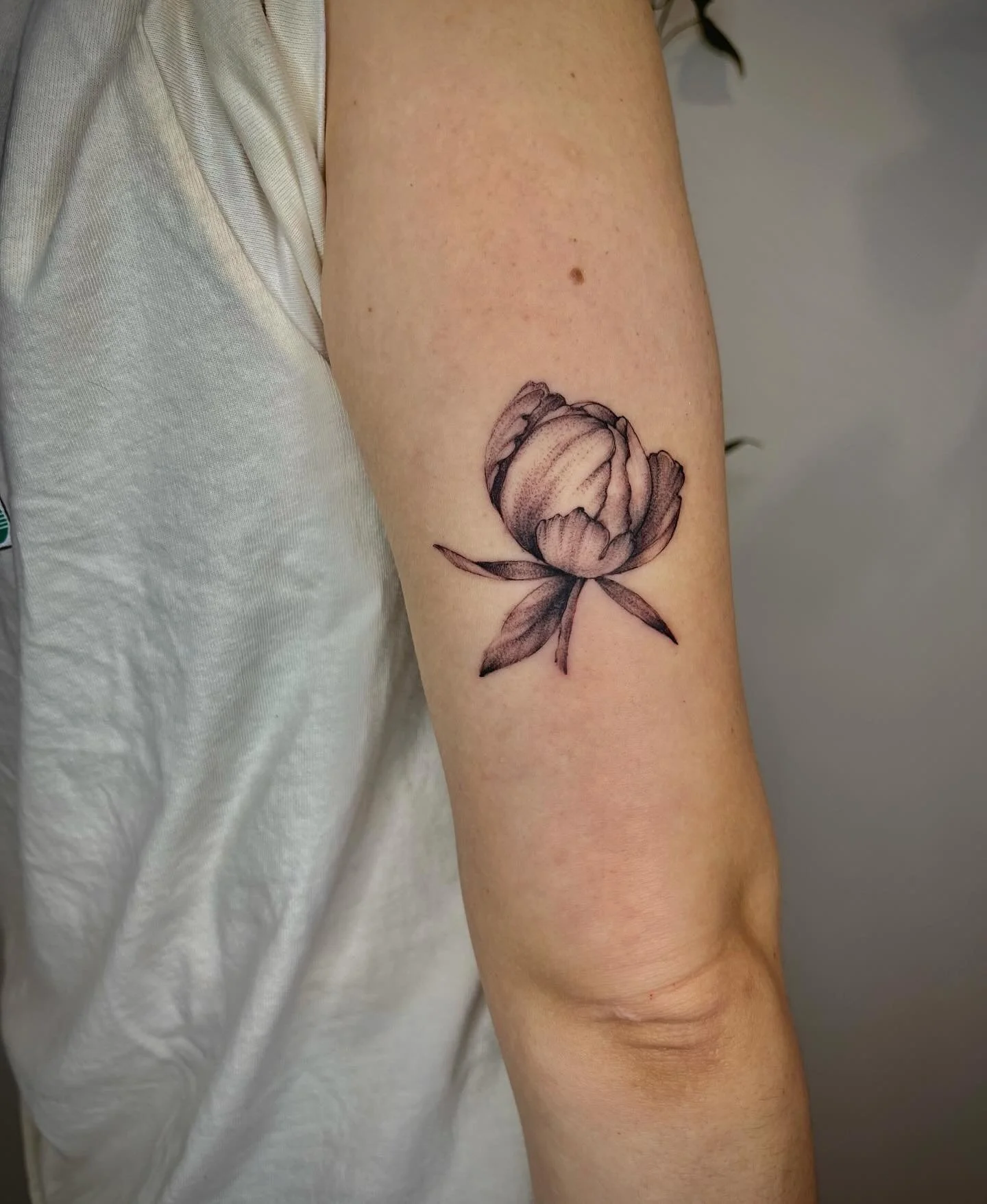 Got so behind on posting this year with a second baby to raise. But here&rsquo;s a favorite from my earlier 2024&hellip;peony with wandering ants on Hannah 

Made @moonrise.tattoo 

#botanicaltattoo #floraltattoo #peonytattoo #flowertattoo #finelinet