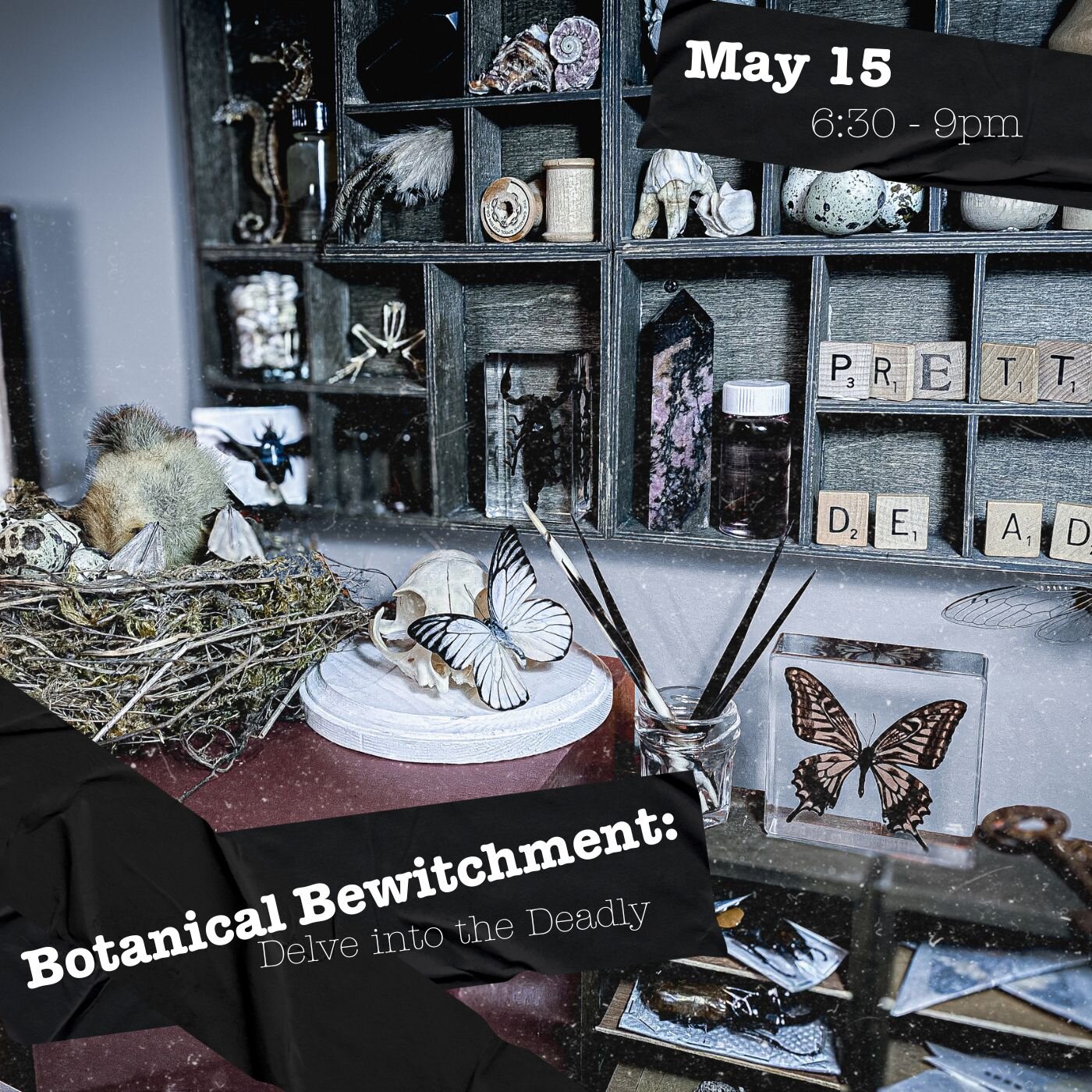 The Academy of Oddities Lesson 2 

Botanical Bewitchment: Delve into the Deadly @svatura tattoo studio ‼

Join Kara @astral.eye  on a journey through the sinister side of nature as we explore plants that can kill. Learn about their history and uses i