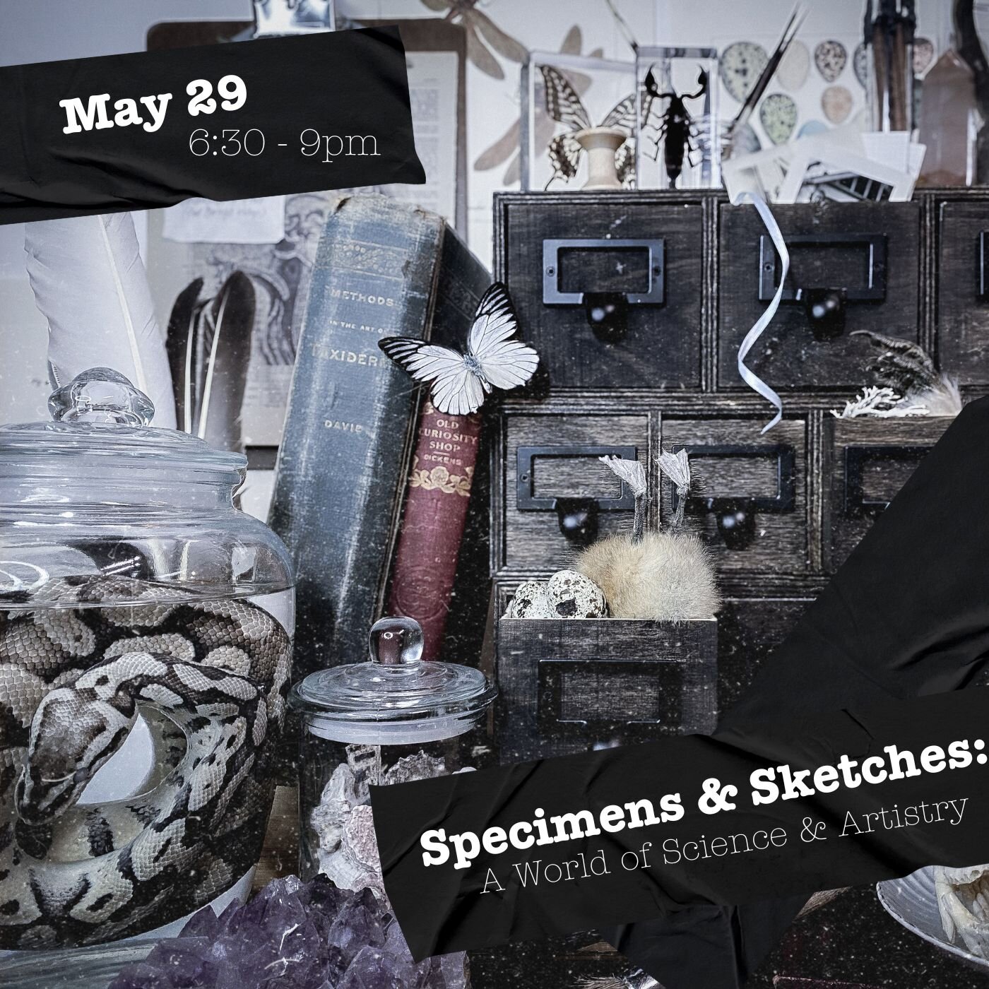 Academy of Oddities Lesson 4 

@svatura Tattoo Studio May 29th 6.30-9pm $75/ pp

Specimens &amp; Sketches: A World of Science &amp; Artistry 🐍🐙🦎

Immerse yourself in the world of preserved wonders as we provide a plethora of wet specimens for your