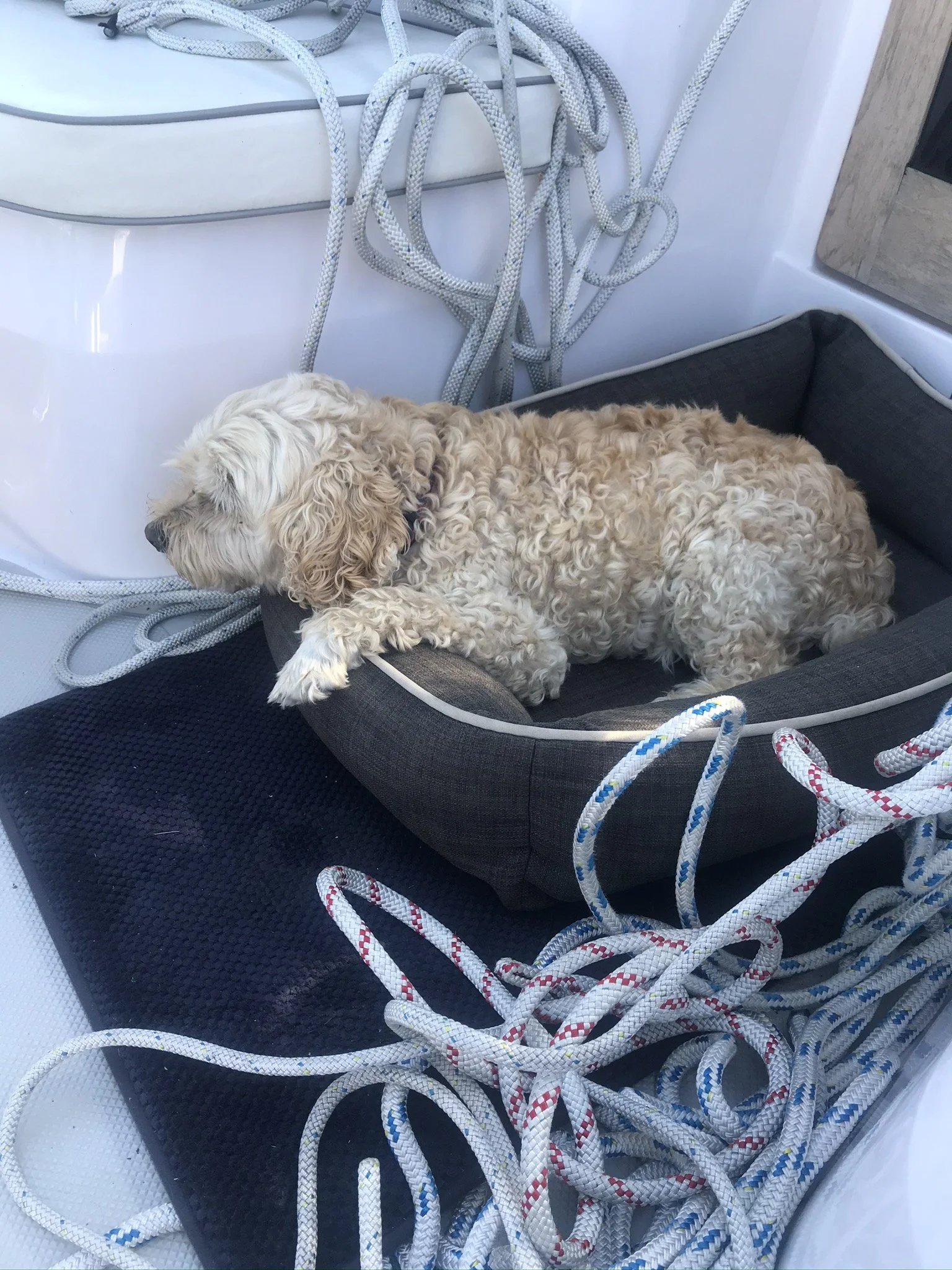 Riley was such a trooper