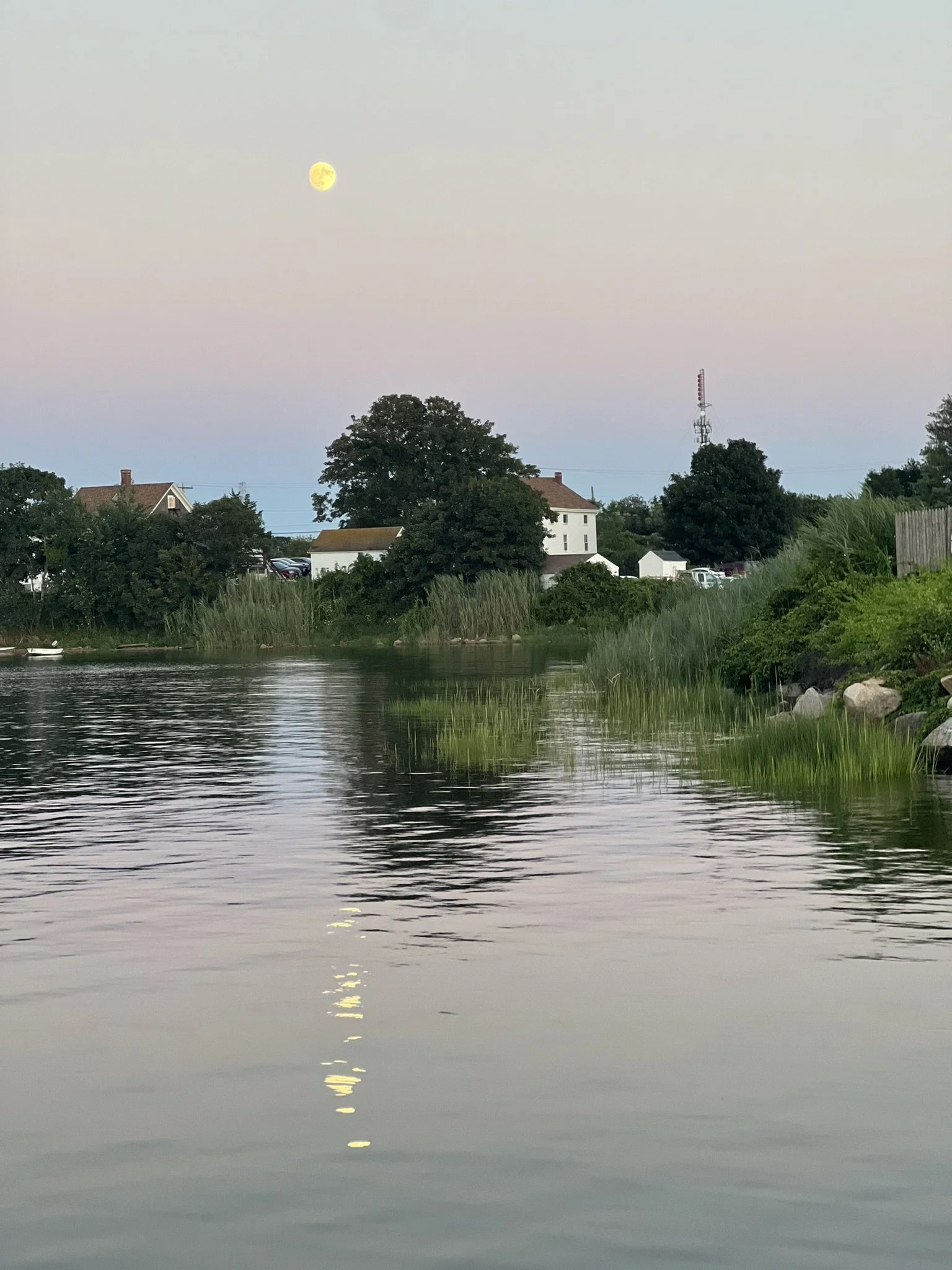 Peace and Quiet (Copy)