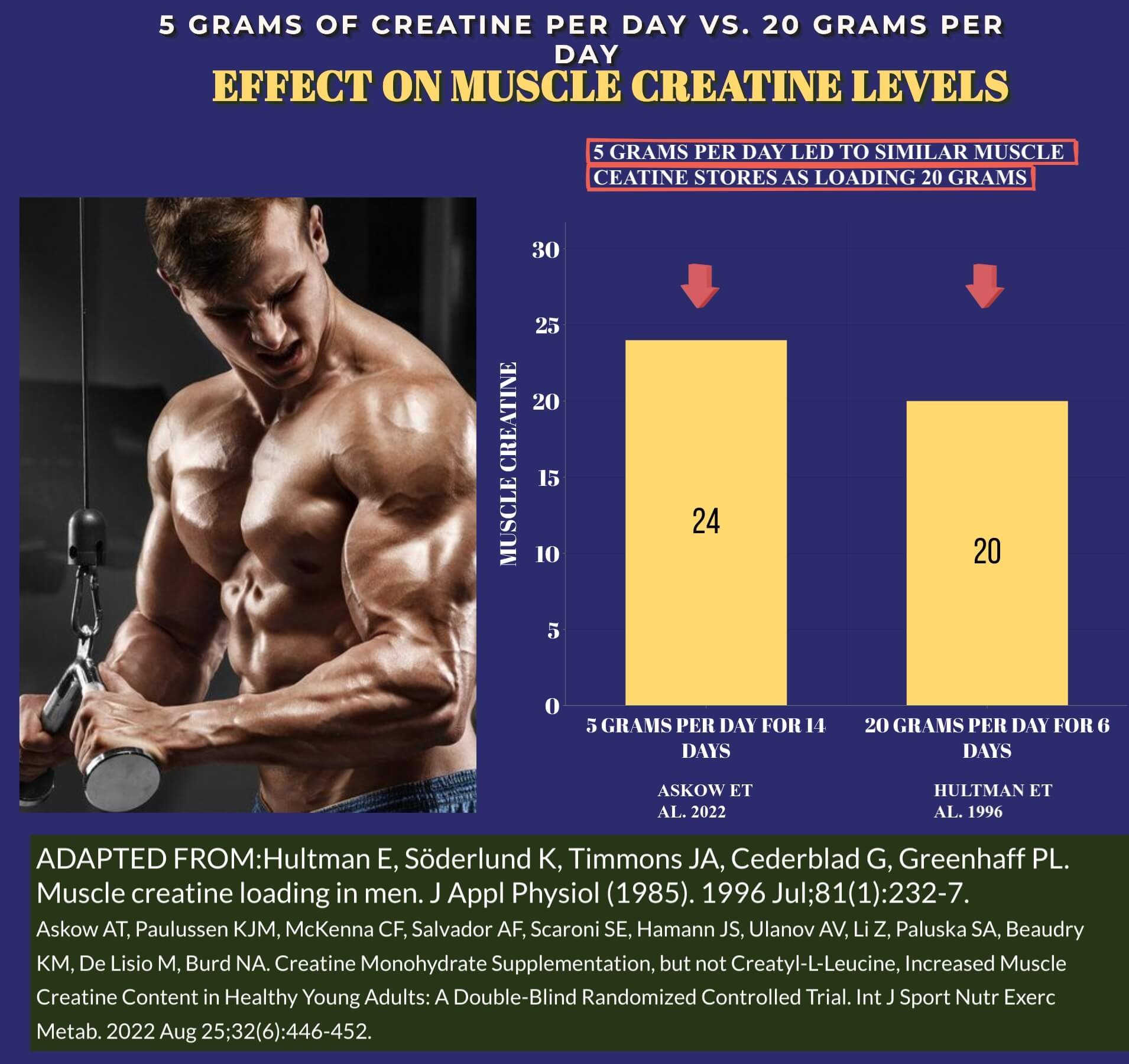 IS CREATINE LOADING PHASE AND CREATINE TIMING NECESSARY FOR MUSCLE GAIN