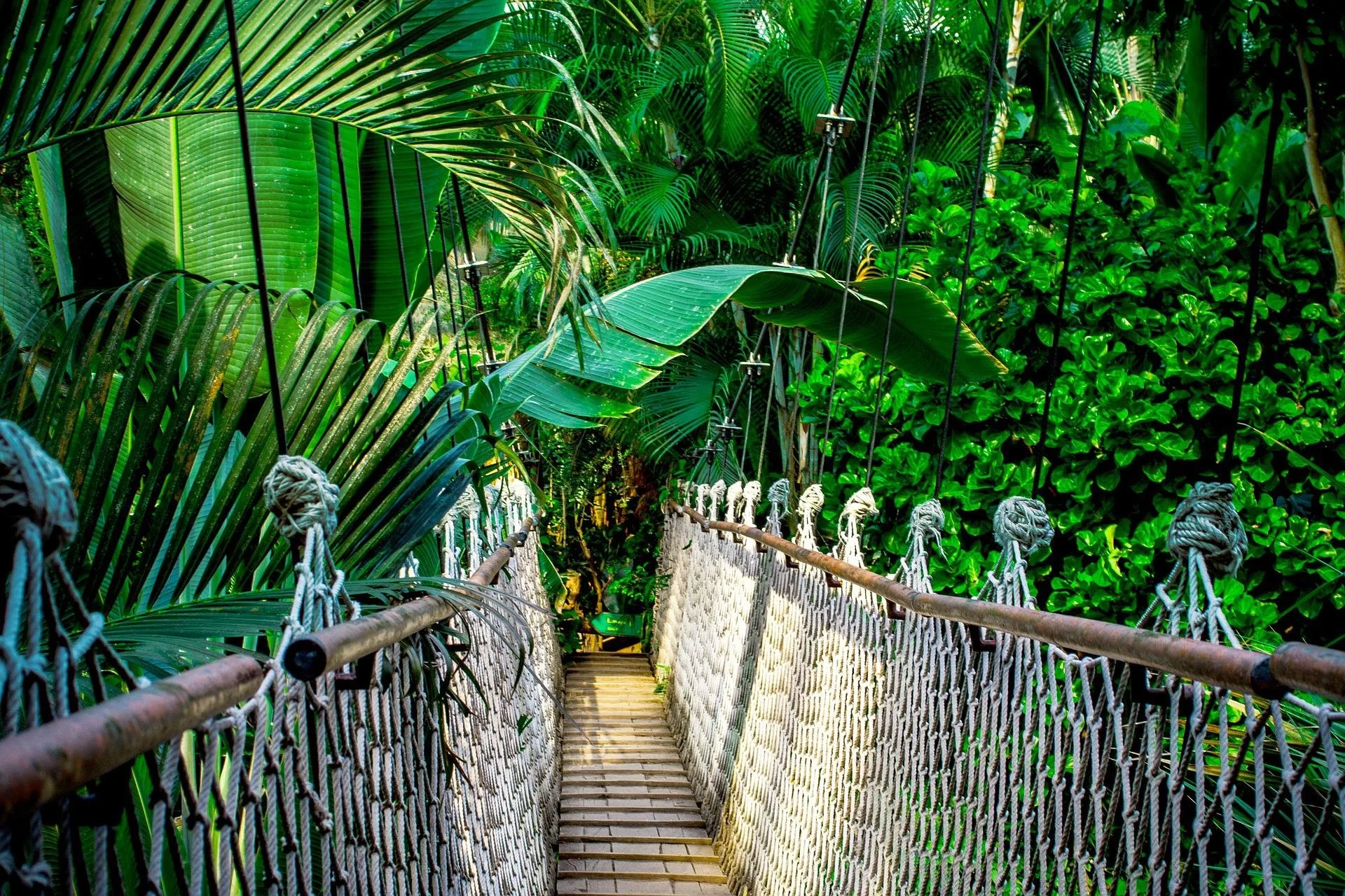 suspension-bridge-g0e894b107_1920.jpg