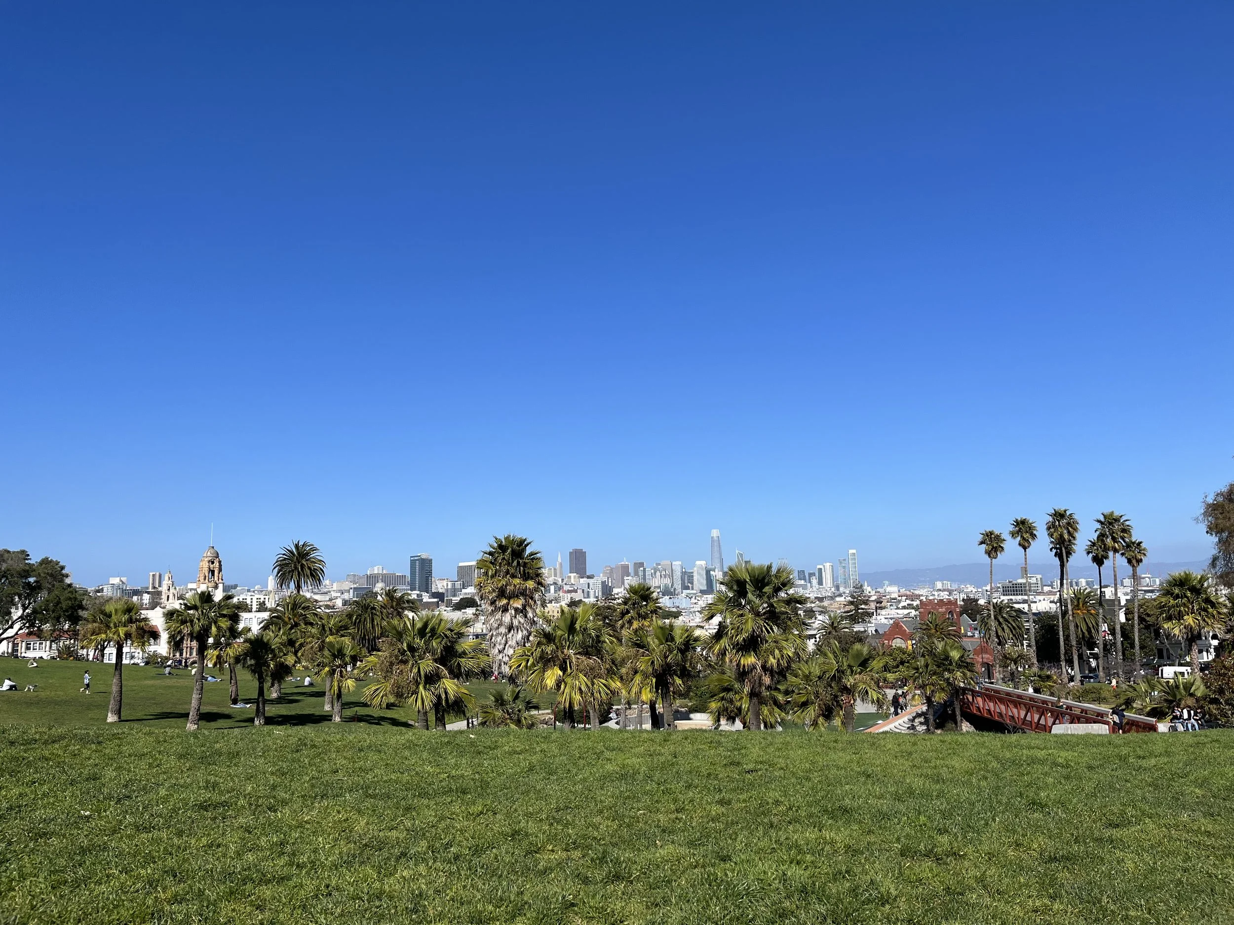 Overlooking Dolores park with a clear blue sky and downtown San Francisco in the distant background