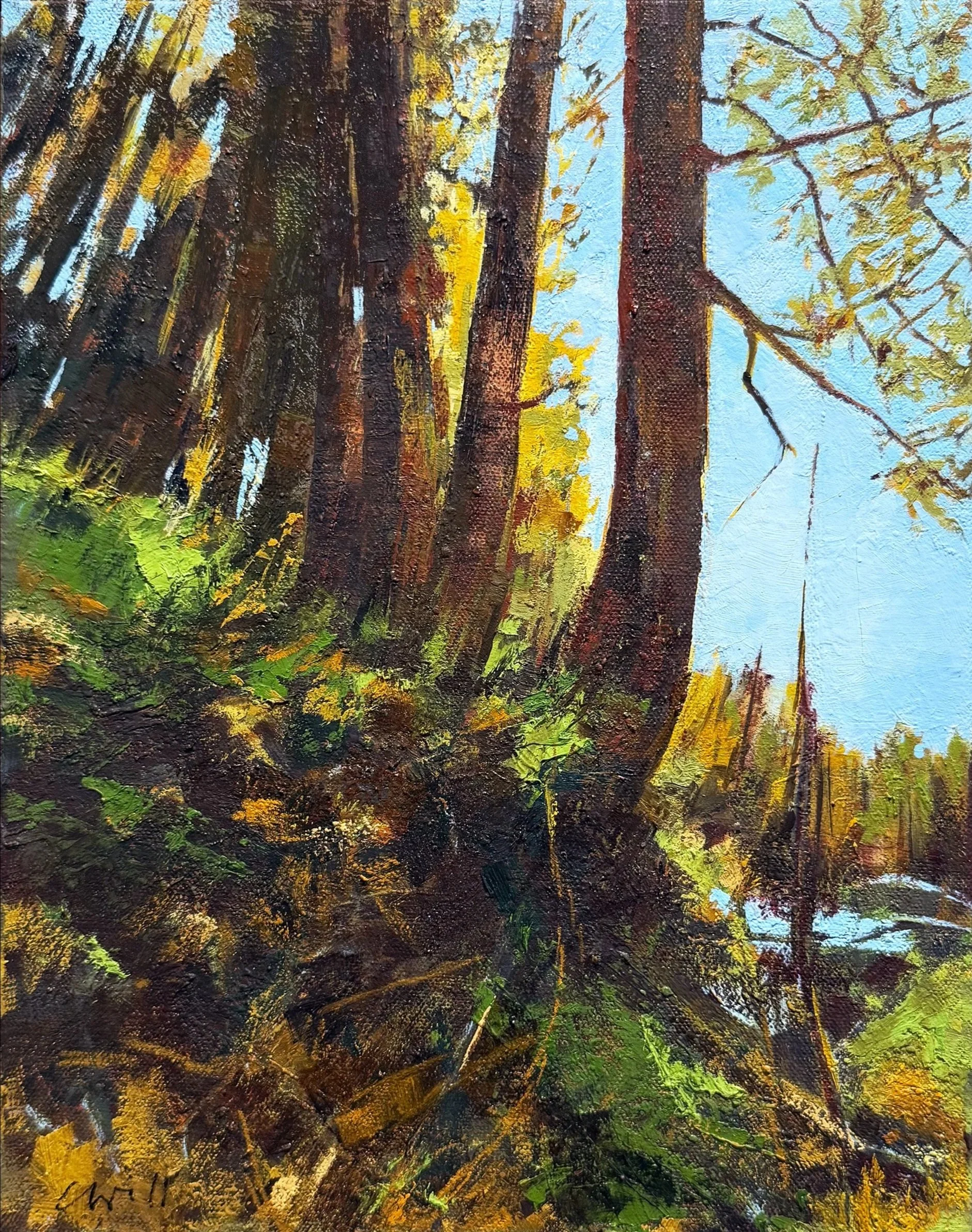 One Morning, 11 x 14, available