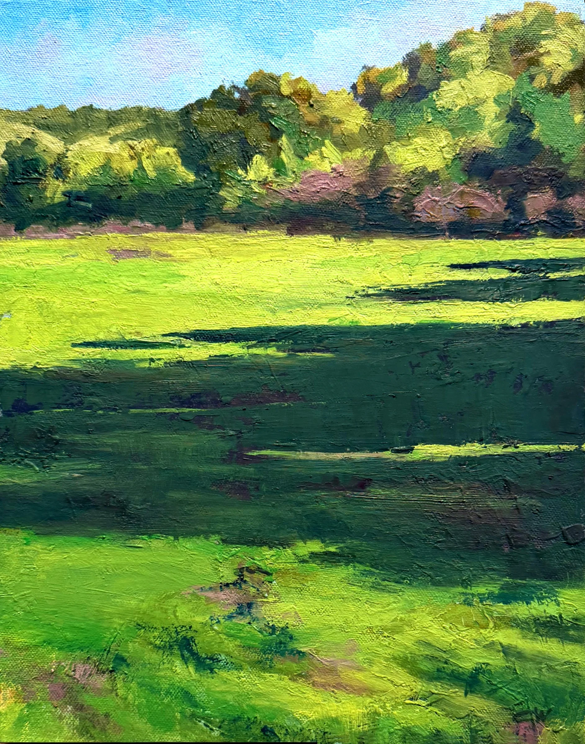 Where Coyotes Sleep, 11 x 14, sold