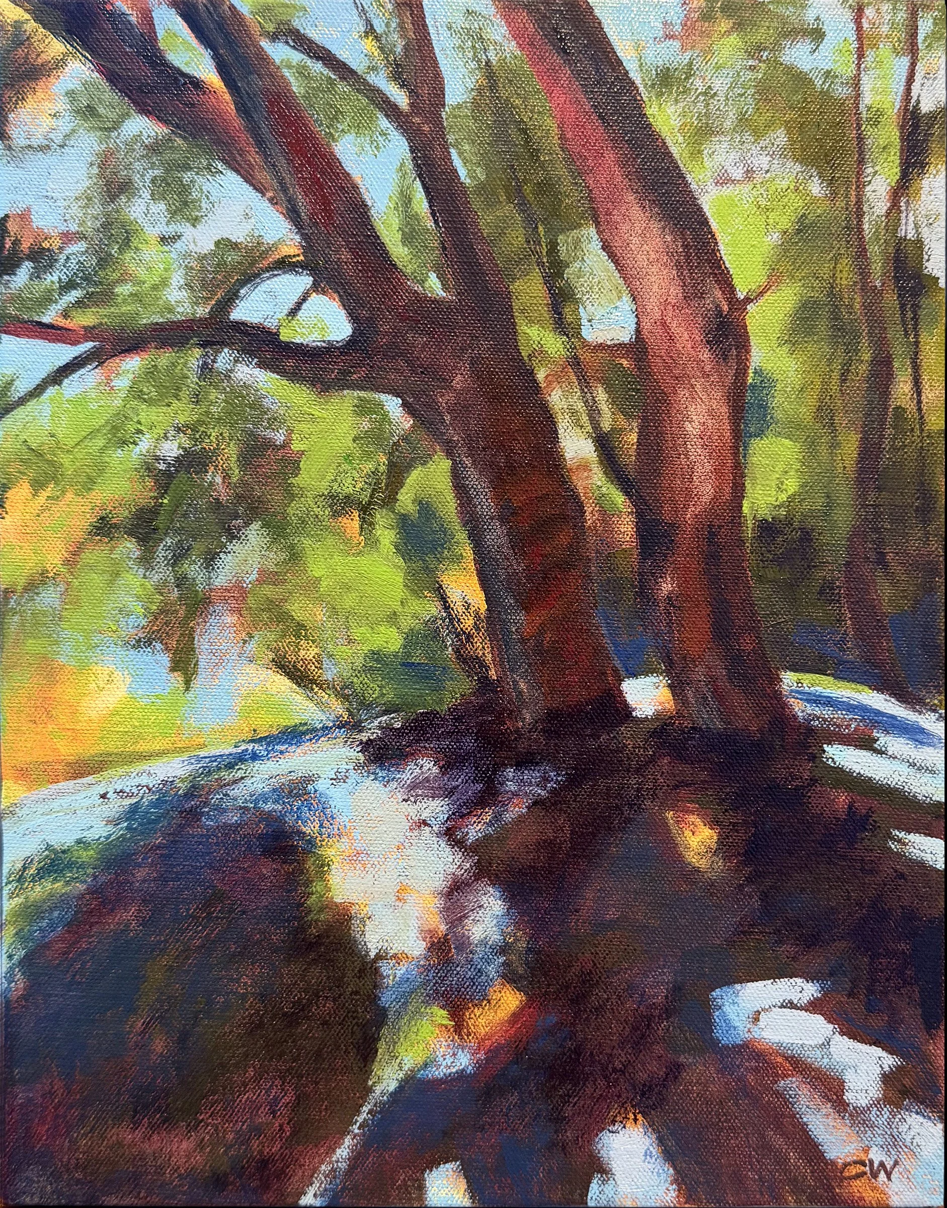 Spaces Between, 8 x 10, sold