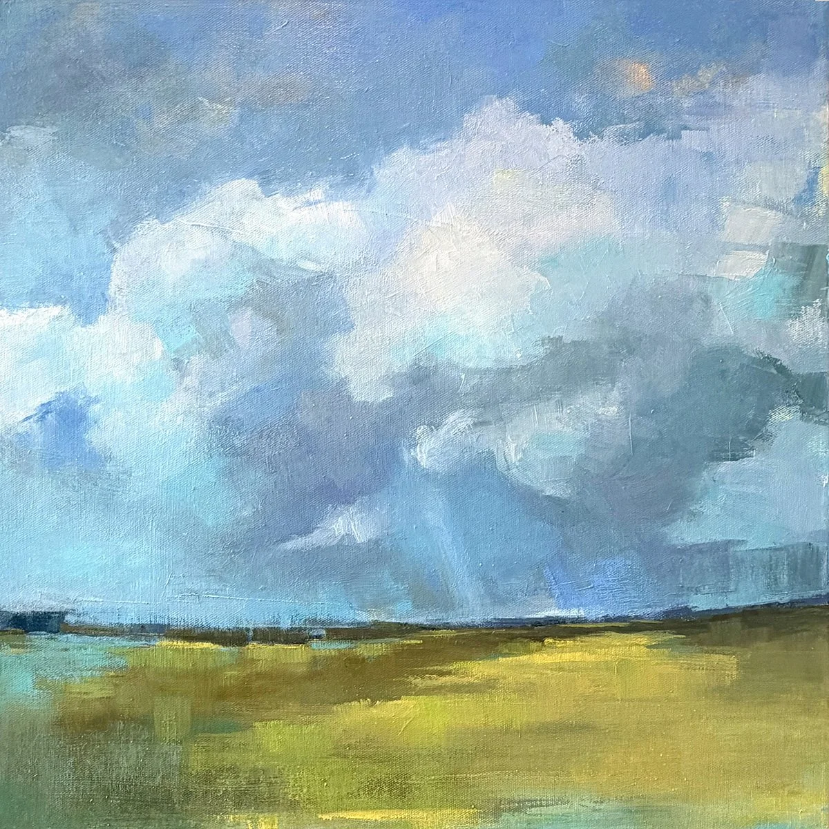 CharleneWill_SkyAndLand_20x20_oils.jpg
