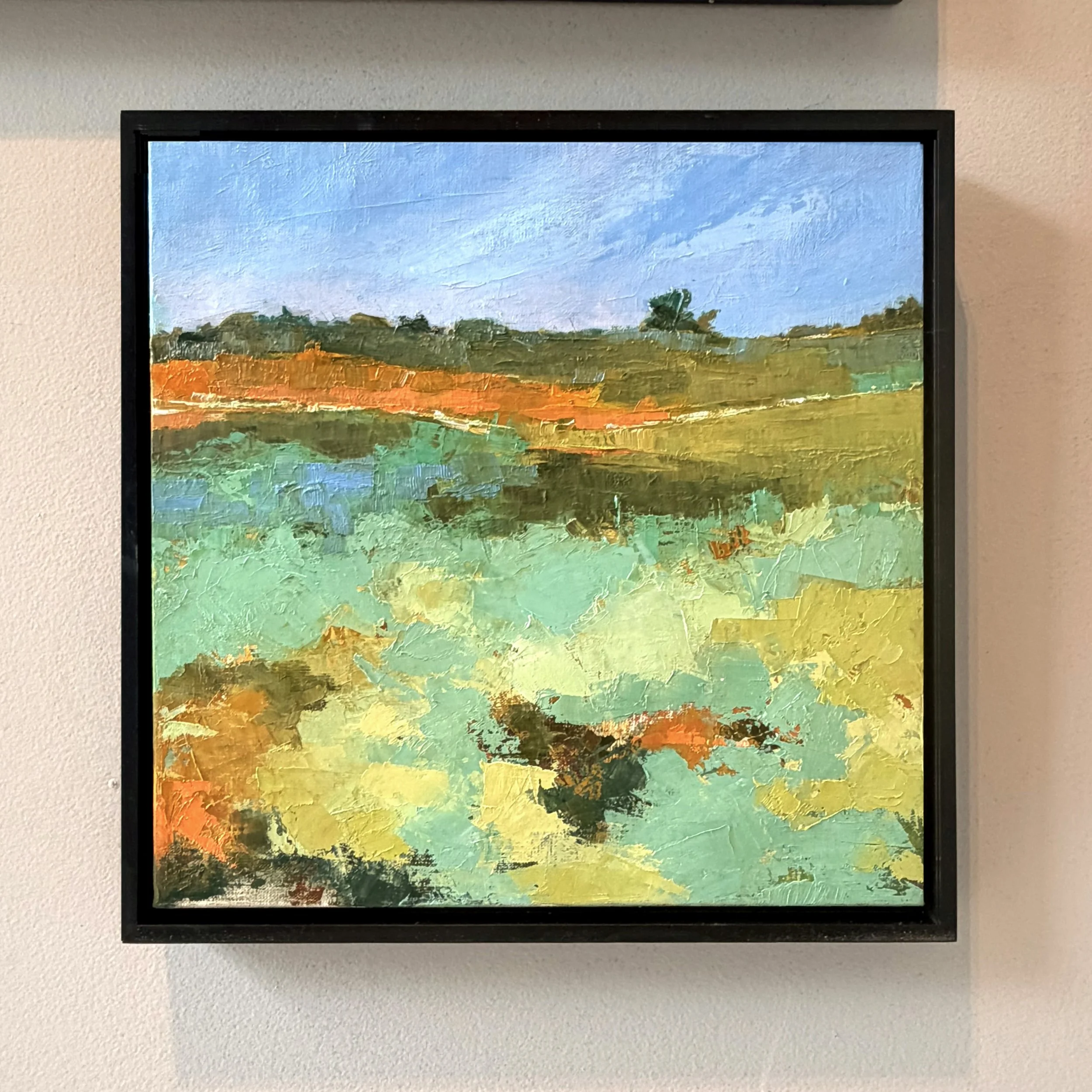 Wild Coastal Marsh
