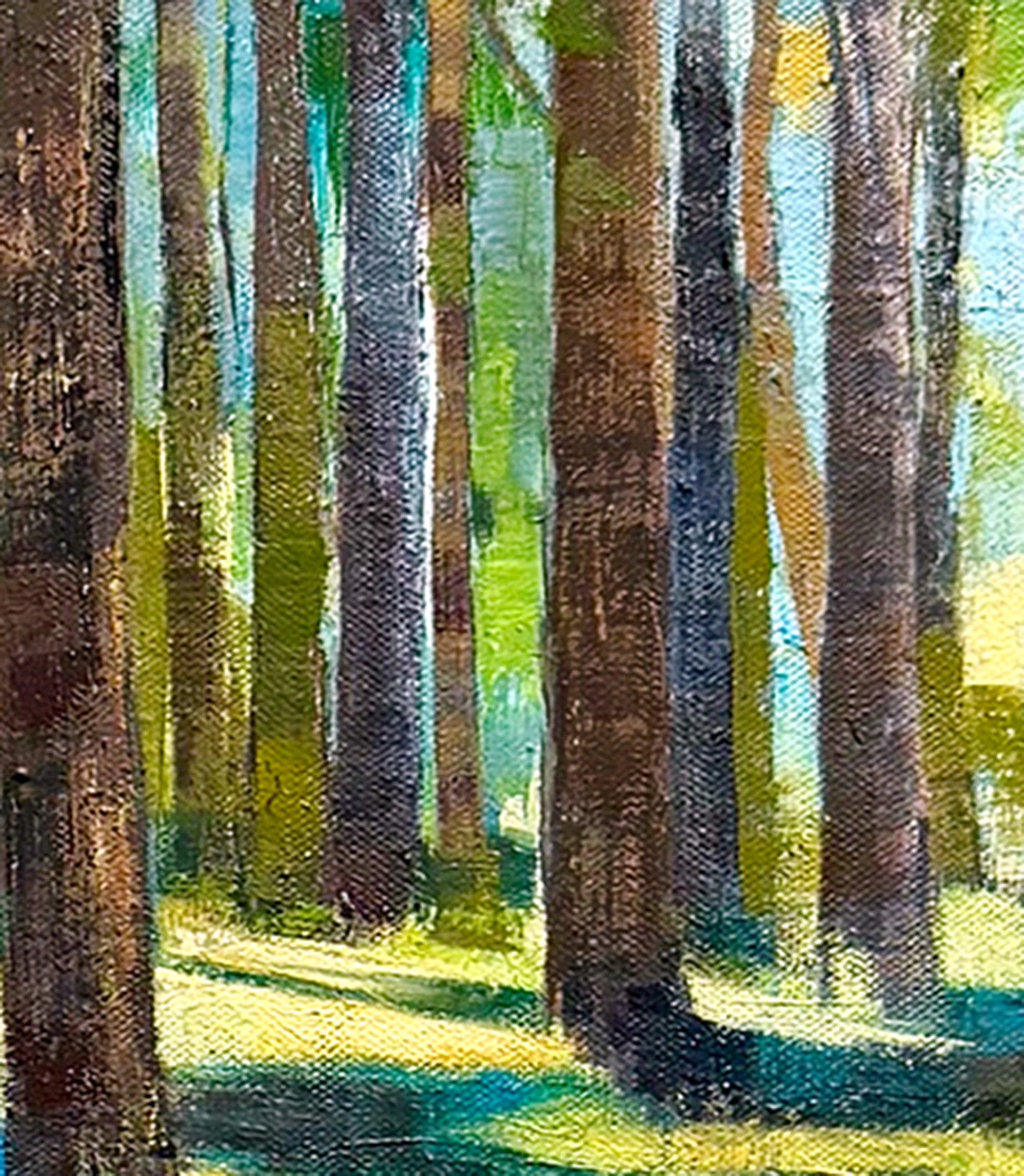 Landscape oil painting of sunlit grove of trees with strong shadows, by California artist, Charlene Will. Title: Conversations Among Trees, copyright 2026 charlene will