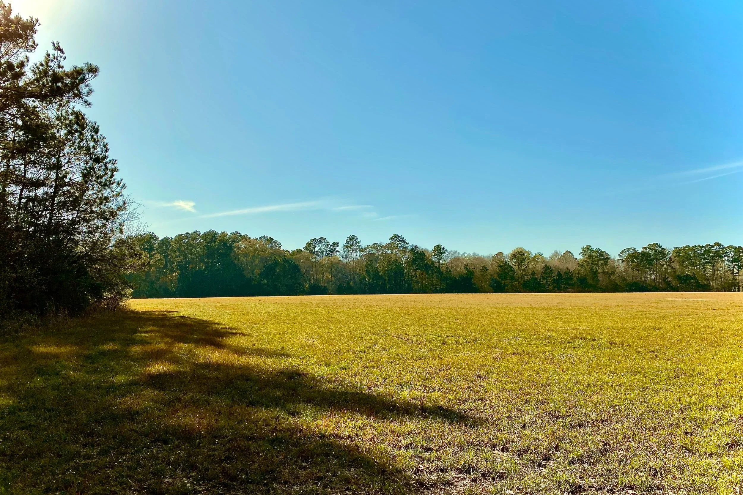 The Lay of The Land