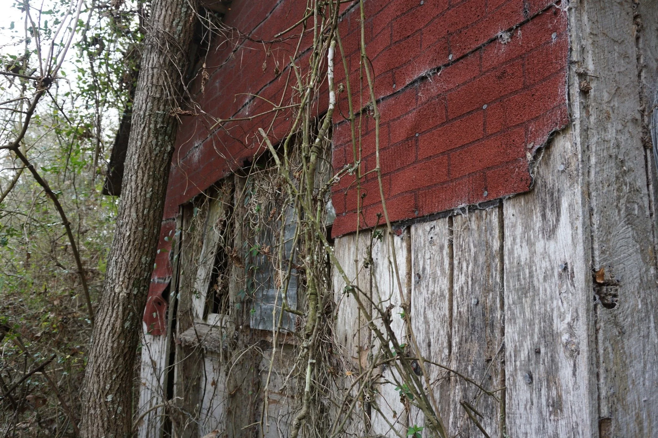 The Dixie Barn - I