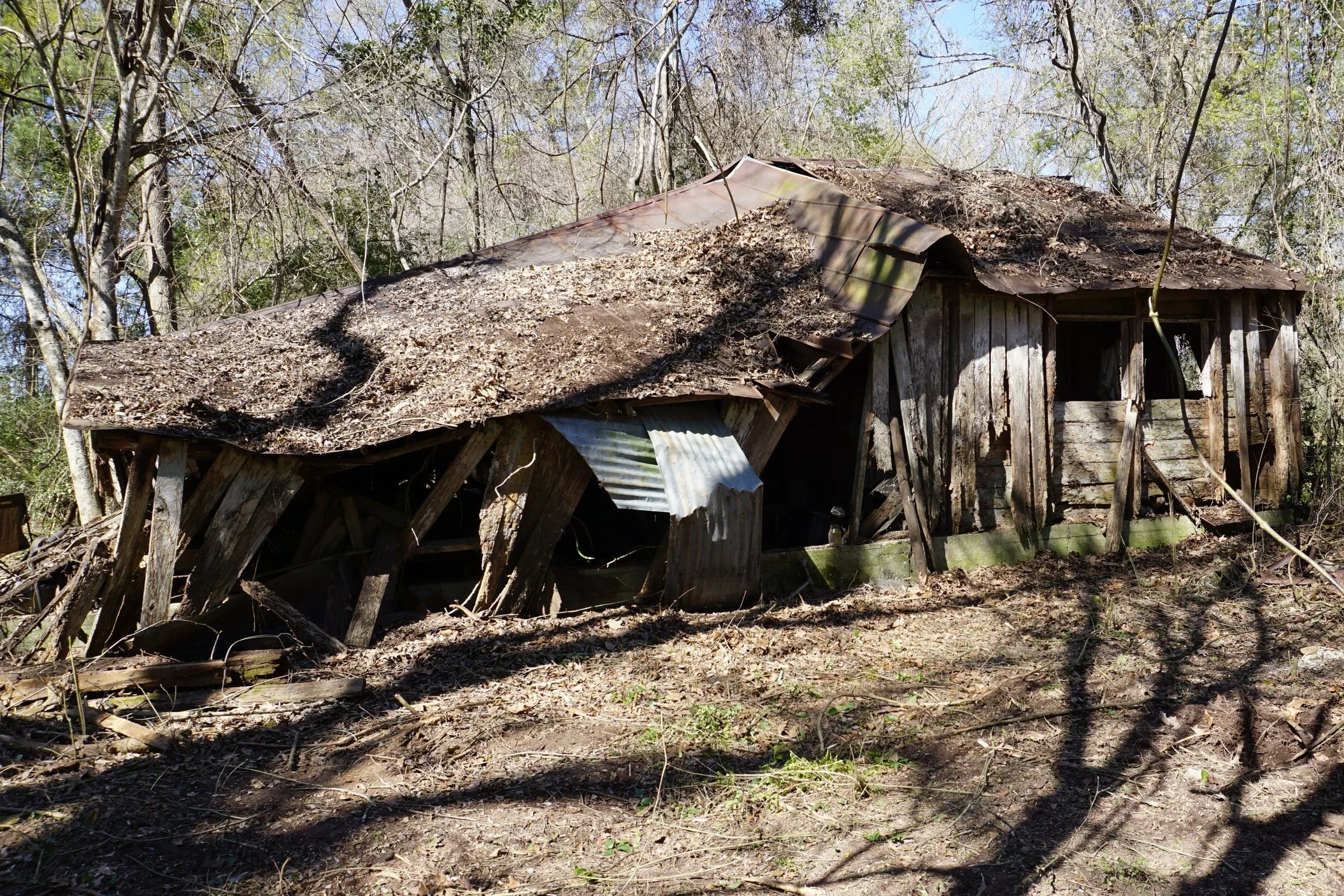 The Dixie Barn - II
