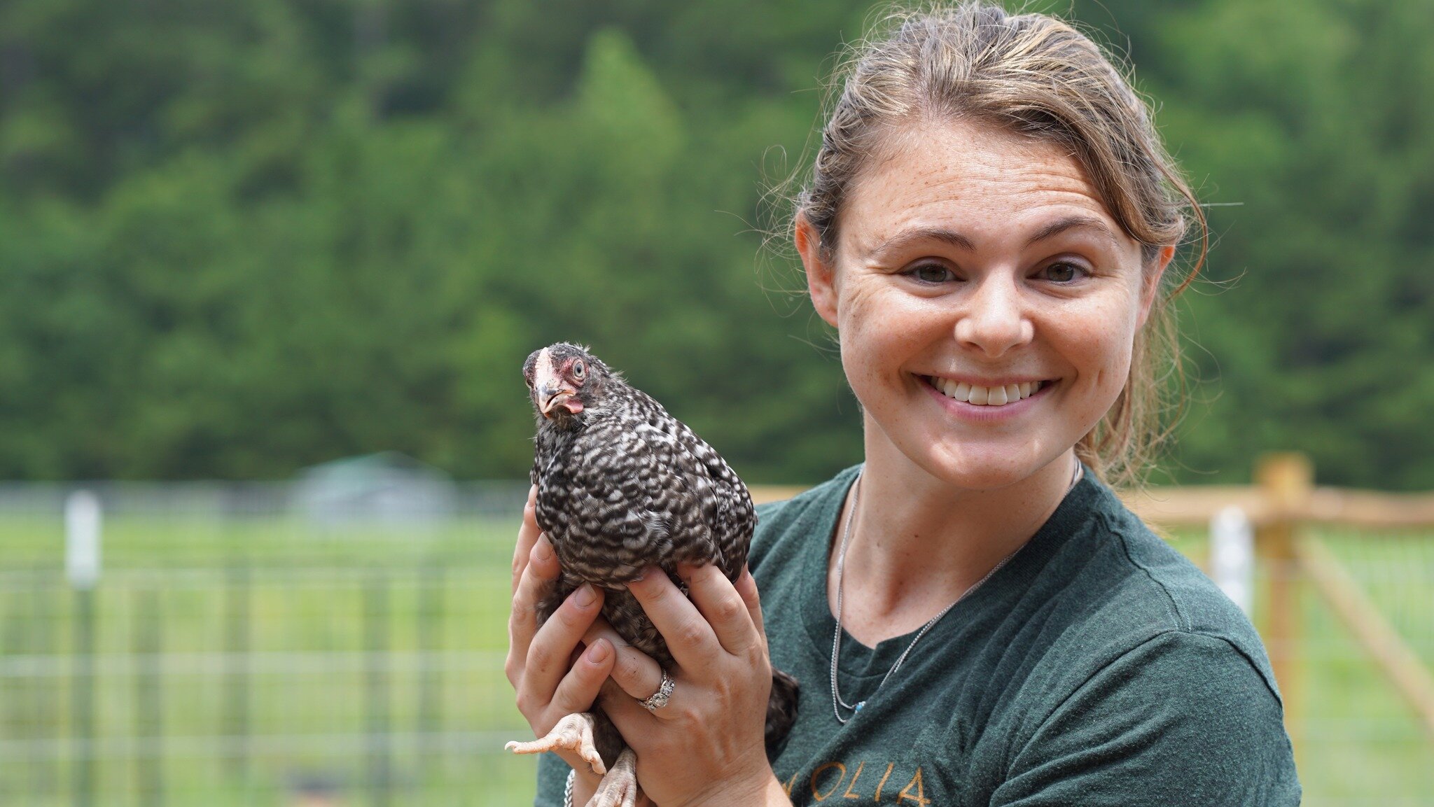 🐔 A little bit of praise for the poultry! They've been an incredible asset to our operation. Not only do they provide us with healthy, affordable meat - they are incredible pasture rejuvinators.

🔗 Check the link in bio for our article &quot;The Un