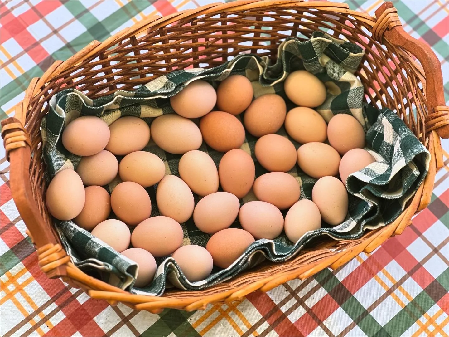 Love when we are drowning in eggs! Time to crank the incubators back up 🥚🐣🐥