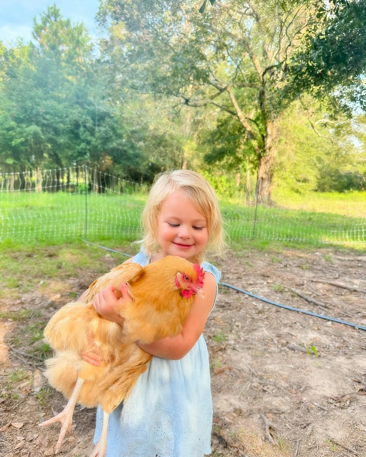 The proudest chicken farmer in the land 🐓💕