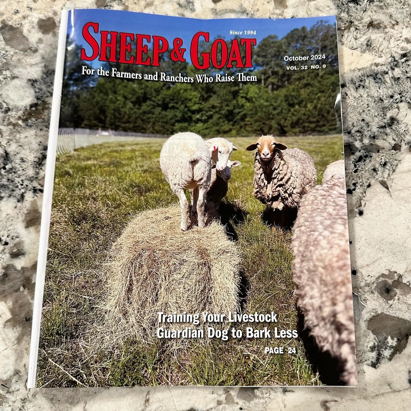 Ewe can find our sheep on the cover of the October issue of #Sheepandgoatmagazine by @ranch_magazine 🐑