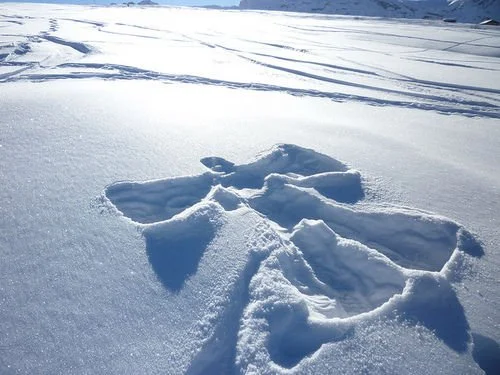 Snow Angels