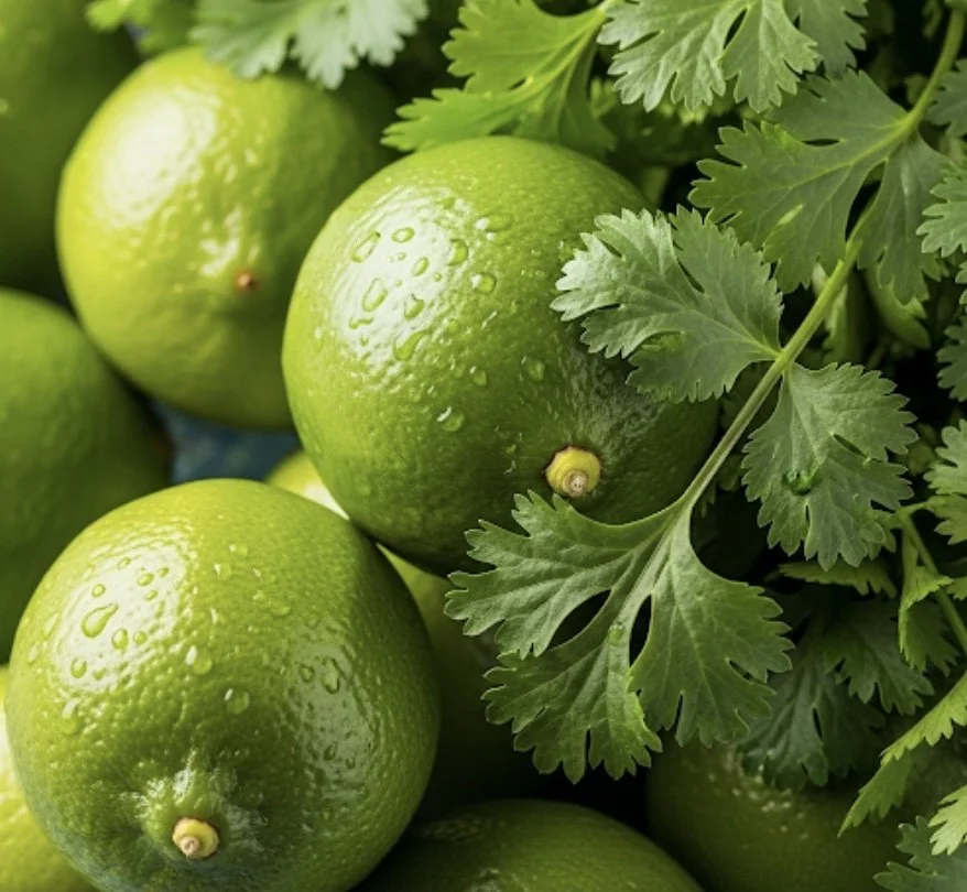 Lime Cilantro