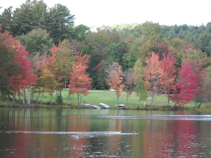 Pennesseewassee Autumn