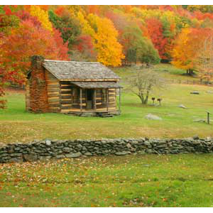 Cozy Maine Cabin