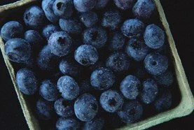 Blue Hill Berries