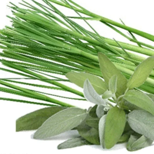 lemongrass sage.webp